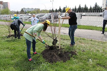 TopProm Holding participated in the annual planting campaign